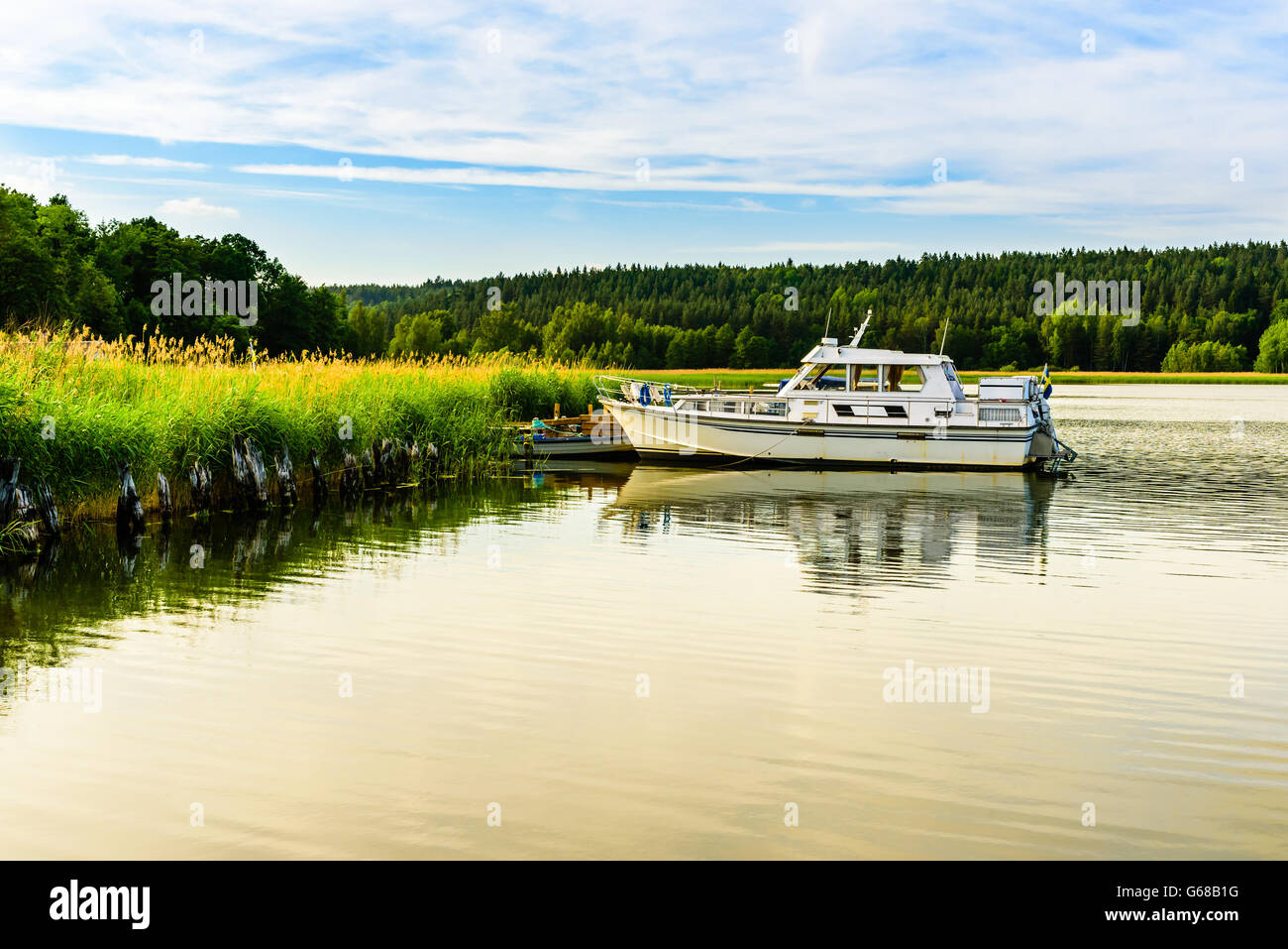 Weiße Motorboot vor Anker in einer schönen Natur-Umgebung mit Schilf und Wald am späten Nachmittag. Stockfoto