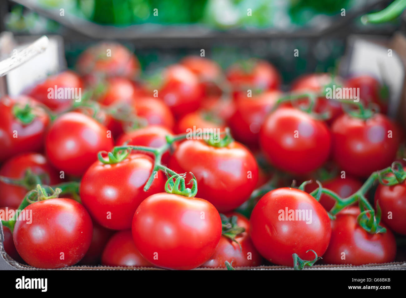 Rosenstrauss rote frische, Reife Runde Tomaten am Markt stand Closeup in selektiven Fokus Stockfoto