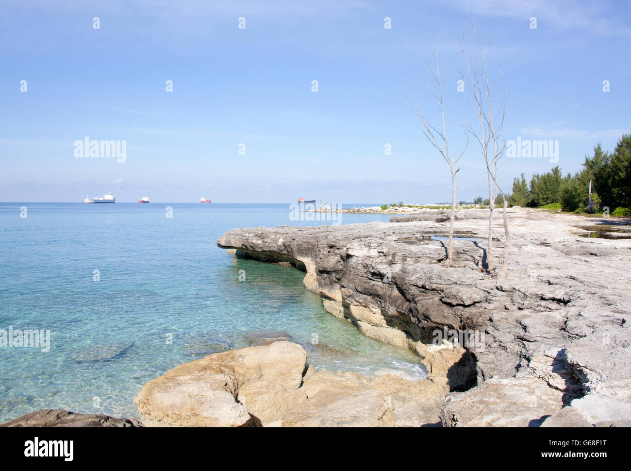 Die Landschaft mit Cargo Schiffe im Hintergrund (Grand Bahama Island). Stockfoto