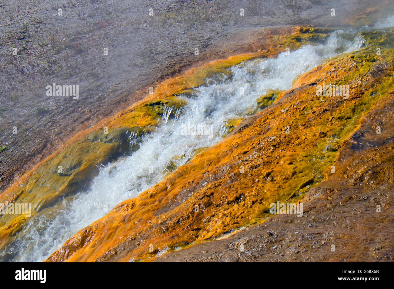 Dampfenden Wasser läuft über Felsen in der Mitte Geyser Basin, Yellowstone, USA Stockfoto