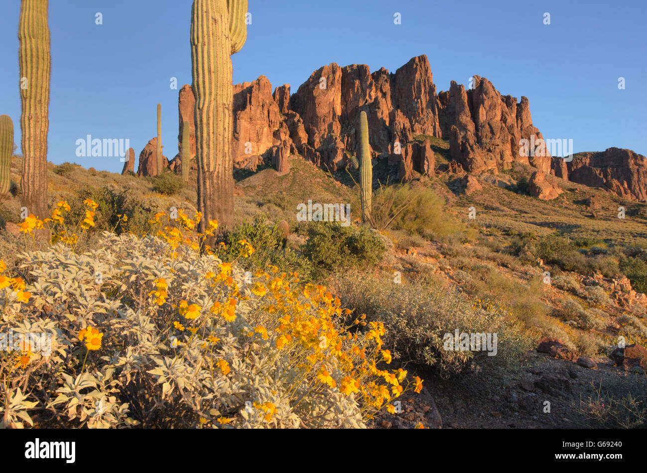 Flat Iron Peak, Arizona Sonoran Wüste Superstition Mountains Stockfoto