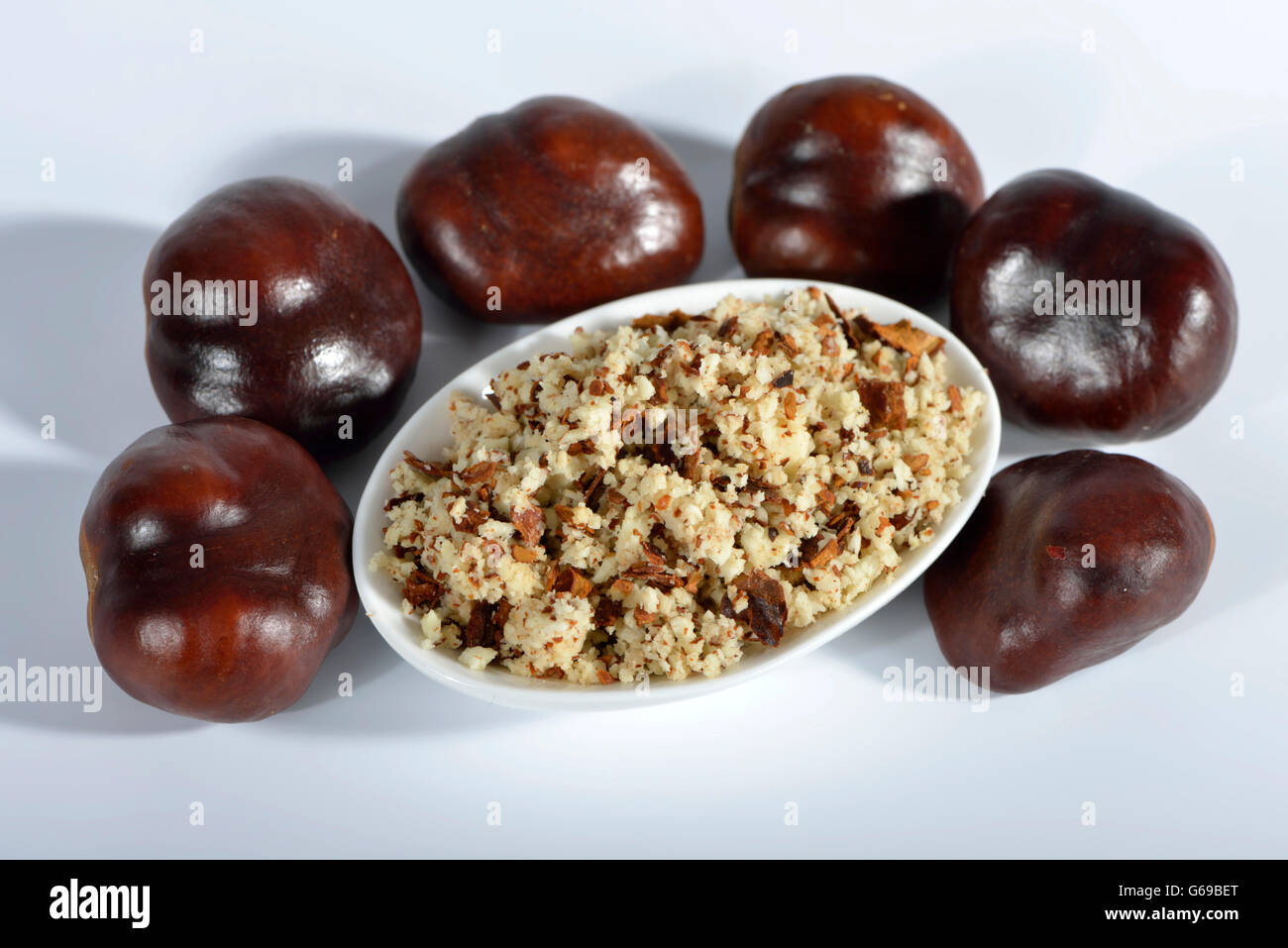 Kastanien, gemahlenen Samen / (Aesculus Hippocastanum) Stockfoto