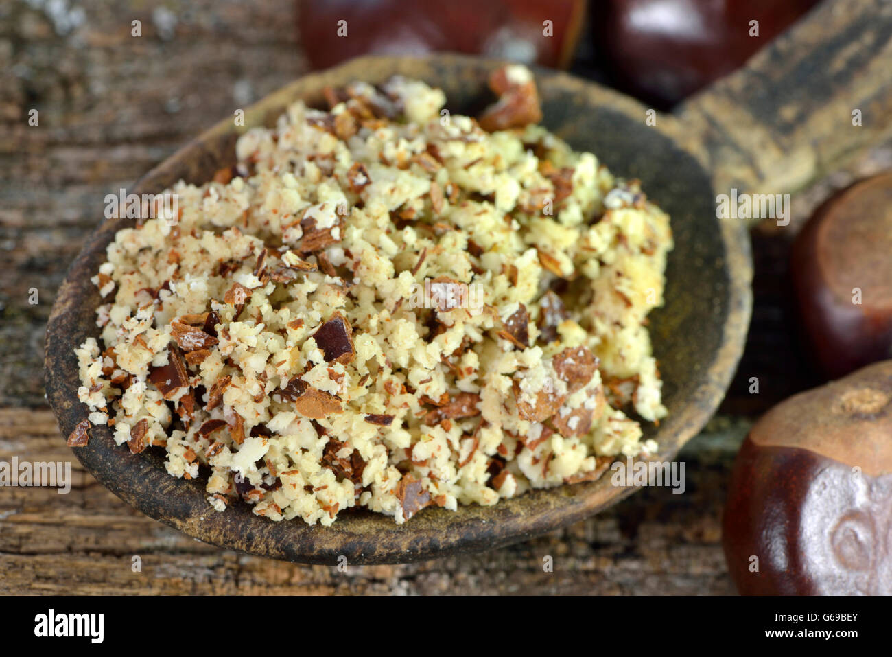 Kastanien, gemahlenen Samen / (Aesculus Hippocastanum) Stockfoto