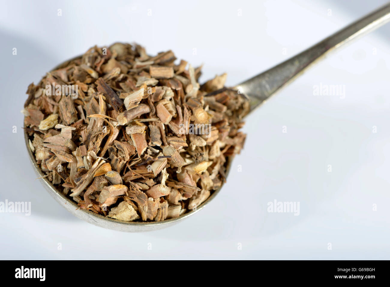 Sarsaparilla Wurzeln / (Sarsaparilla, Radix Sarsaparillae) / American ...