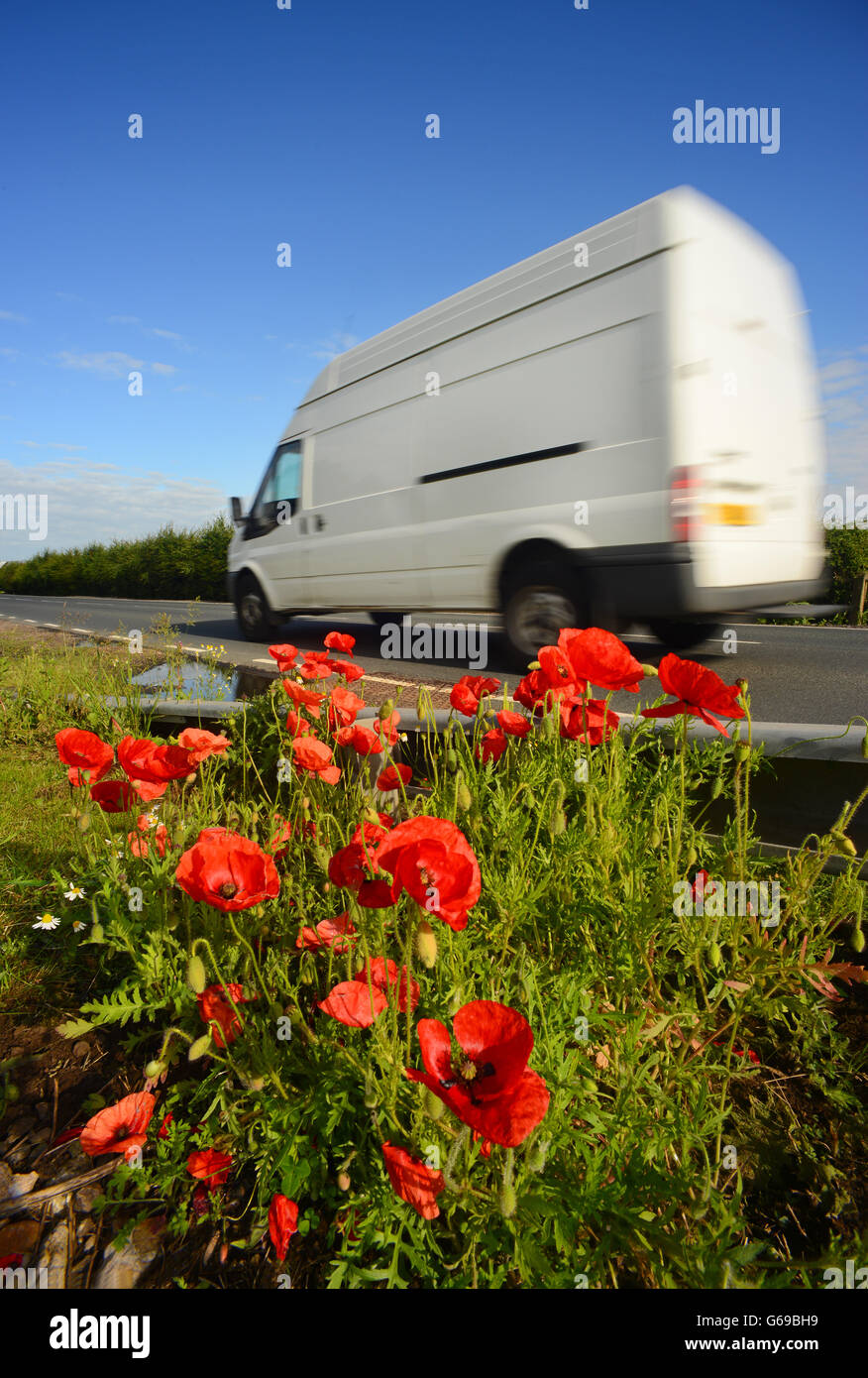 Van, vorbei am Straßenrand Mohn im Bubwith Yorkshire United kingdom Stockfoto