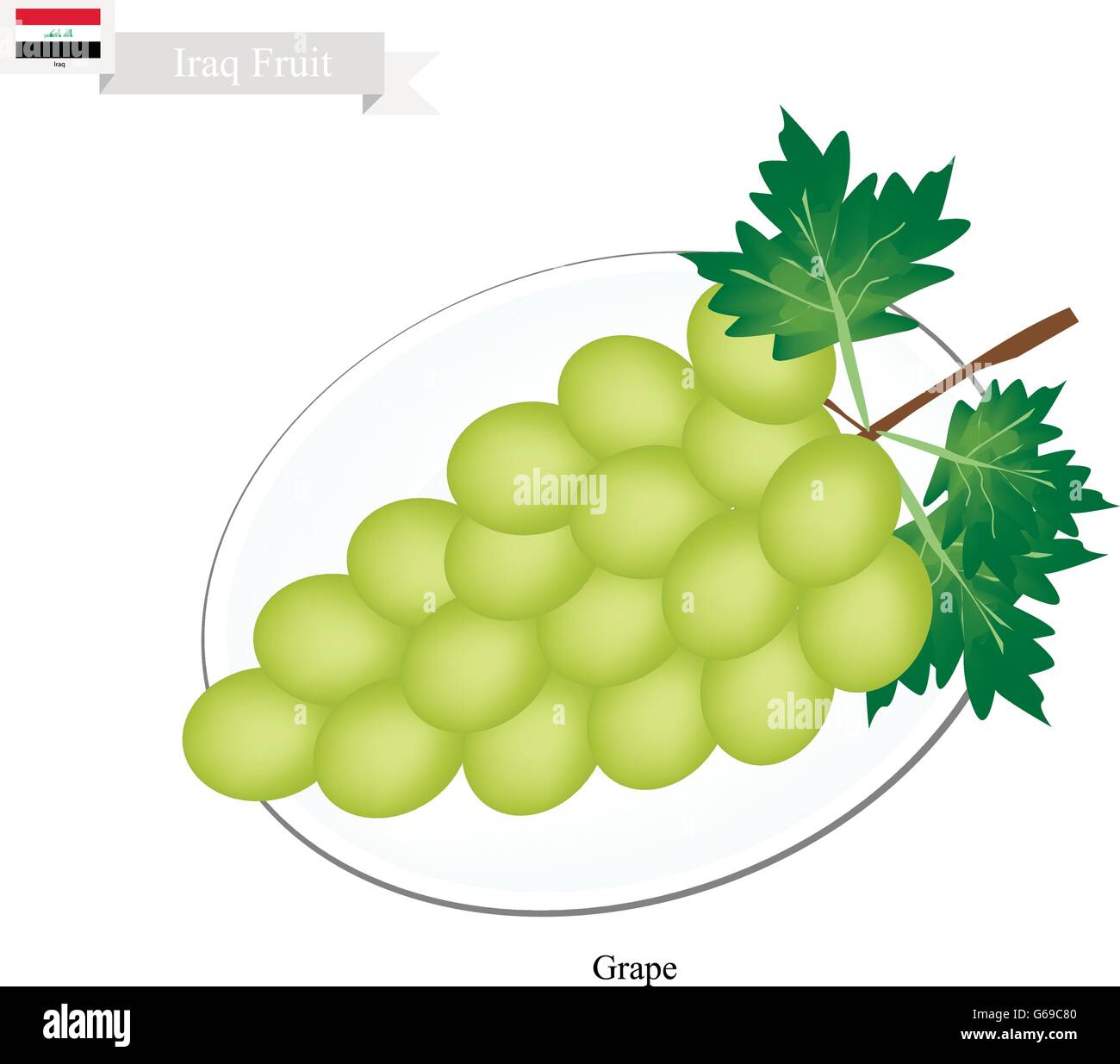 Irak-Frucht, Reife und Süße Trauben. Eine der beliebtesten Früchte des Irak. Stock Vektor