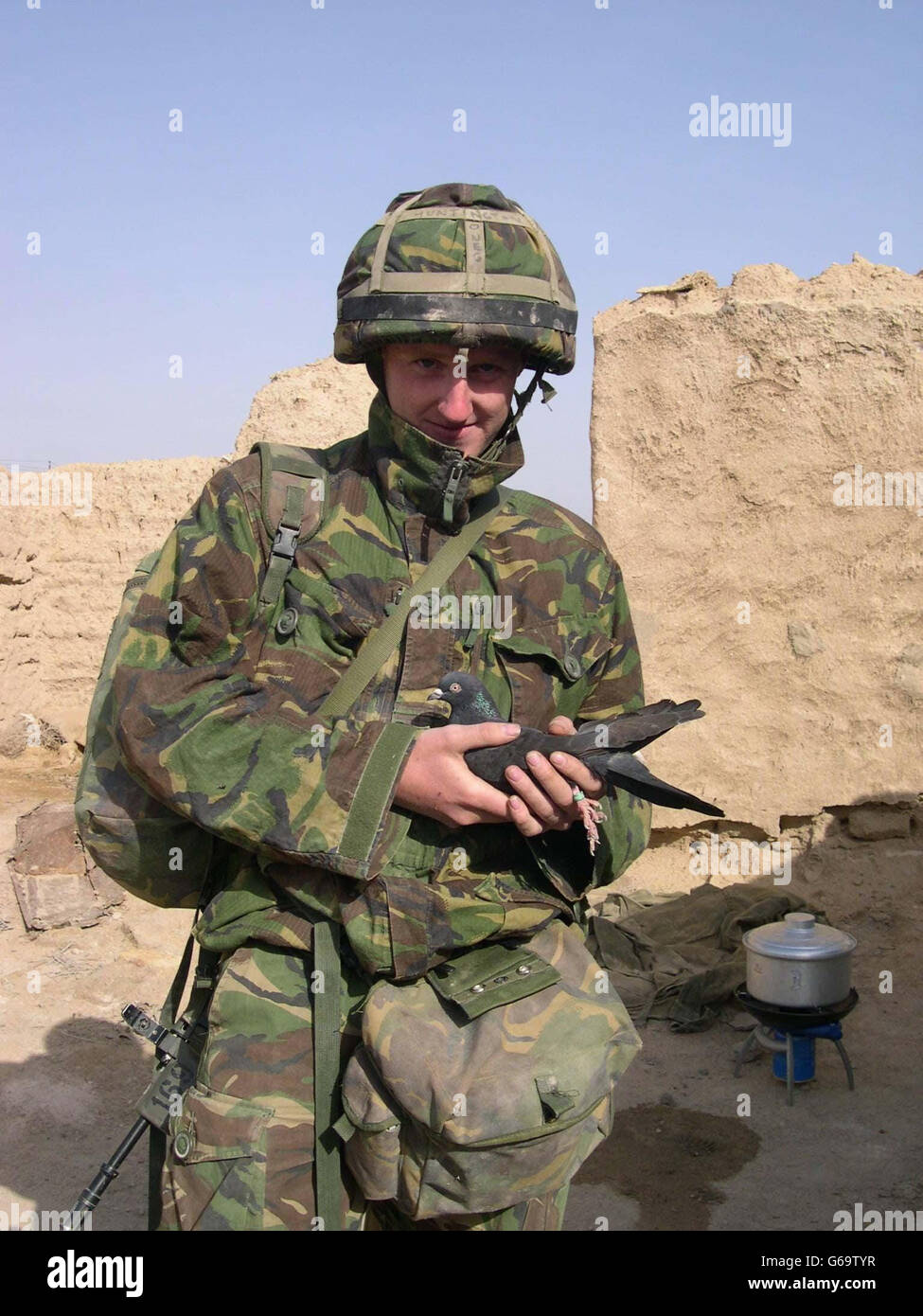 Soldat im Irak verloren Taube Stockfoto