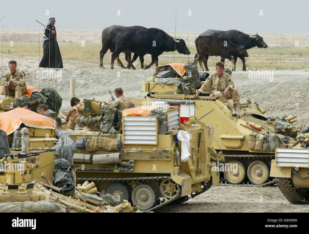 Ein irakischer Bauer beherdet seinen Büffel, als Soldaten der Luftangriff-Brigade 16 im Dorf Qaryat Nasr nördlich von Basra eine Pause einlegen. Stockfoto