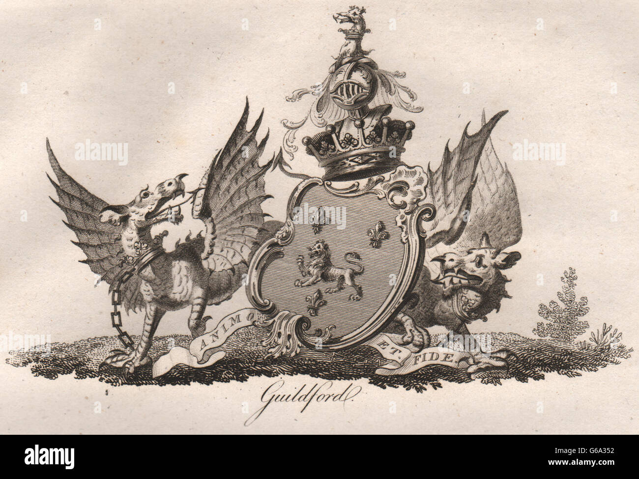 GUILDFORD: Wappen. Heraldik, antiken Druck 1790 Stockfoto