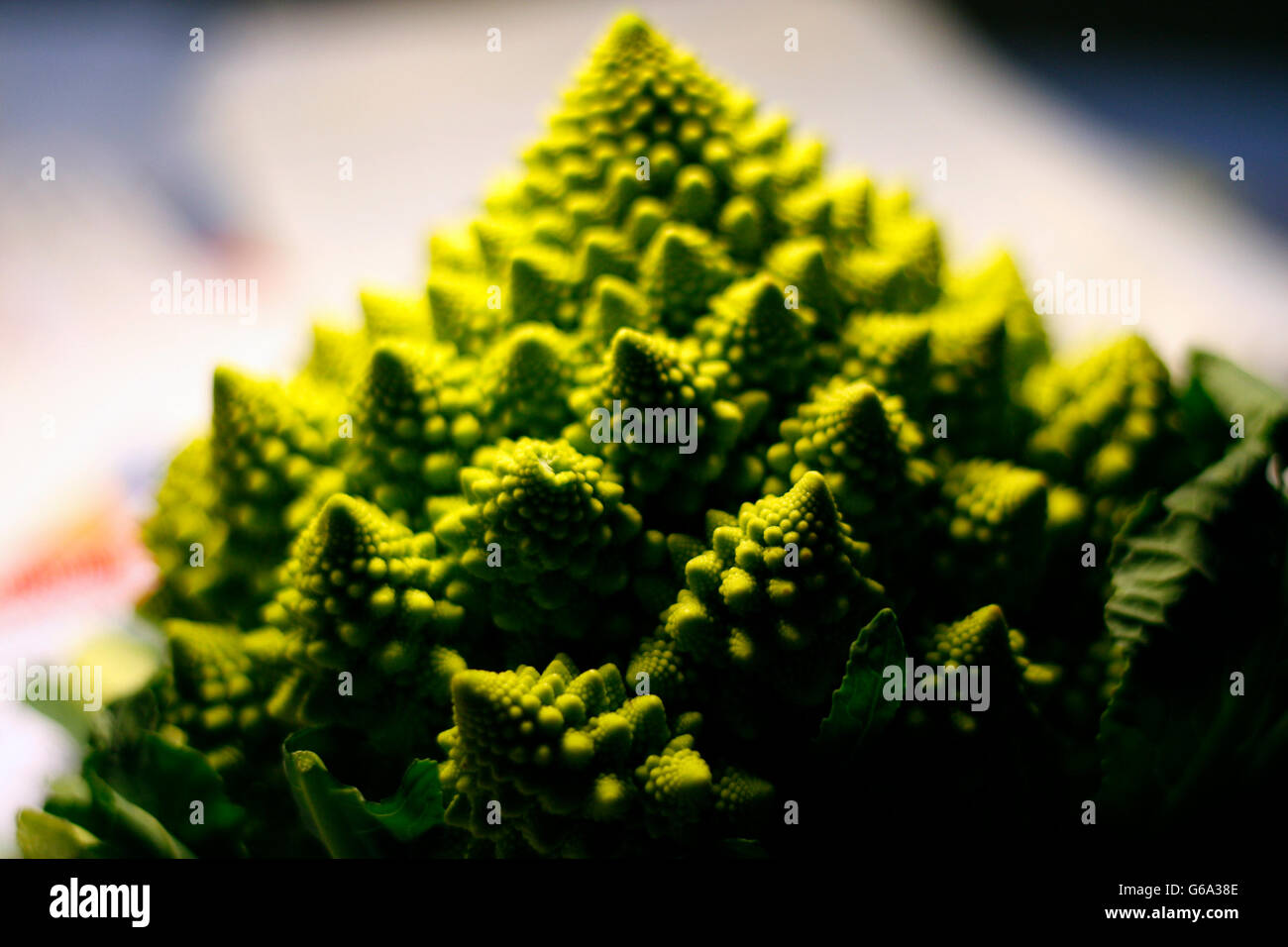 Romanesco Brokkoli. Stockfoto