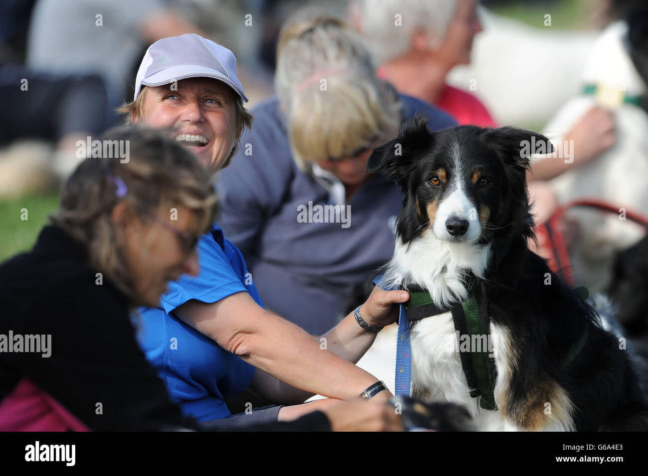 Hunde und ihre Besitzer versammeln sich in einem Versuch, den Guinness-Weltrekord für den größten gleichzeitigen Hundeaufenthalt in Rockingham Castle, Leicestershire zu brechen. Stockfoto