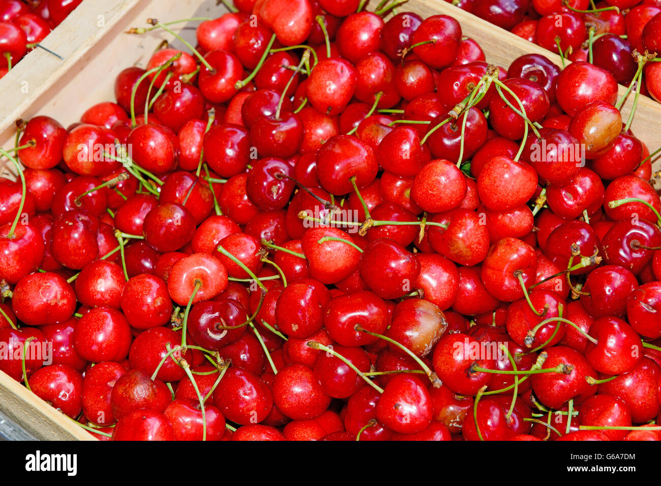 die rote cherries.in Kiste am französischen Markt Stockfoto