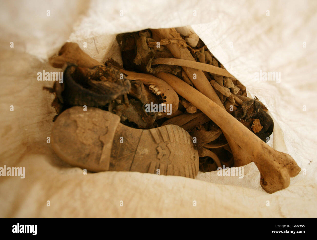 Menschliche Überreste irakische Basis Stockfoto