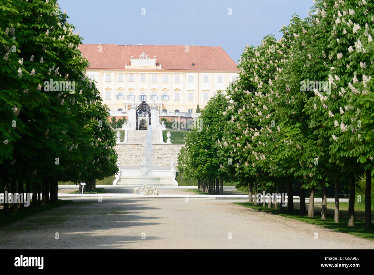 Schloss Hof, blühenden Kastanienbäumen, Engelhartstetten, Österreich, Niederösterreich, NÖ, Marchfeld Stockfoto