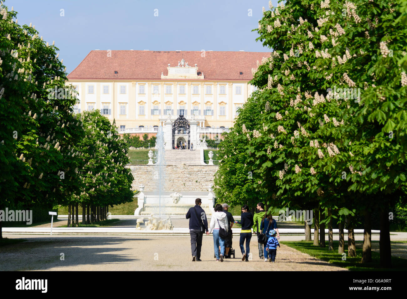 Schloss Hof, blühenden Kastanienbäumen, Engelhartstetten, Österreich, Niederösterreich, NÖ, Marchfeld Stockfoto