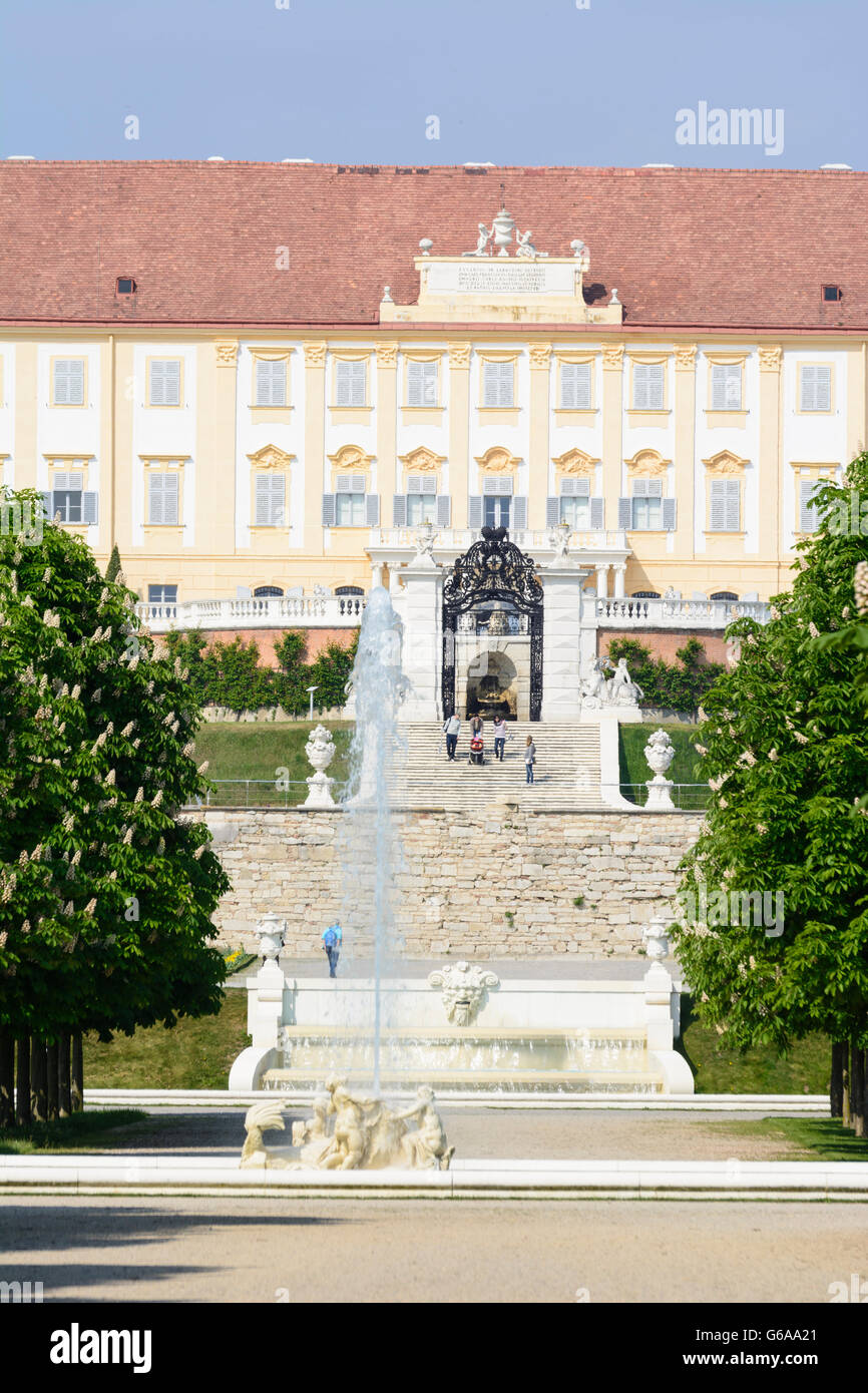 Schloss Hof, blühenden Kastanienbäumen, Engelhartstetten, Österreich, Niederösterreich, NÖ, Marchfeld Stockfoto