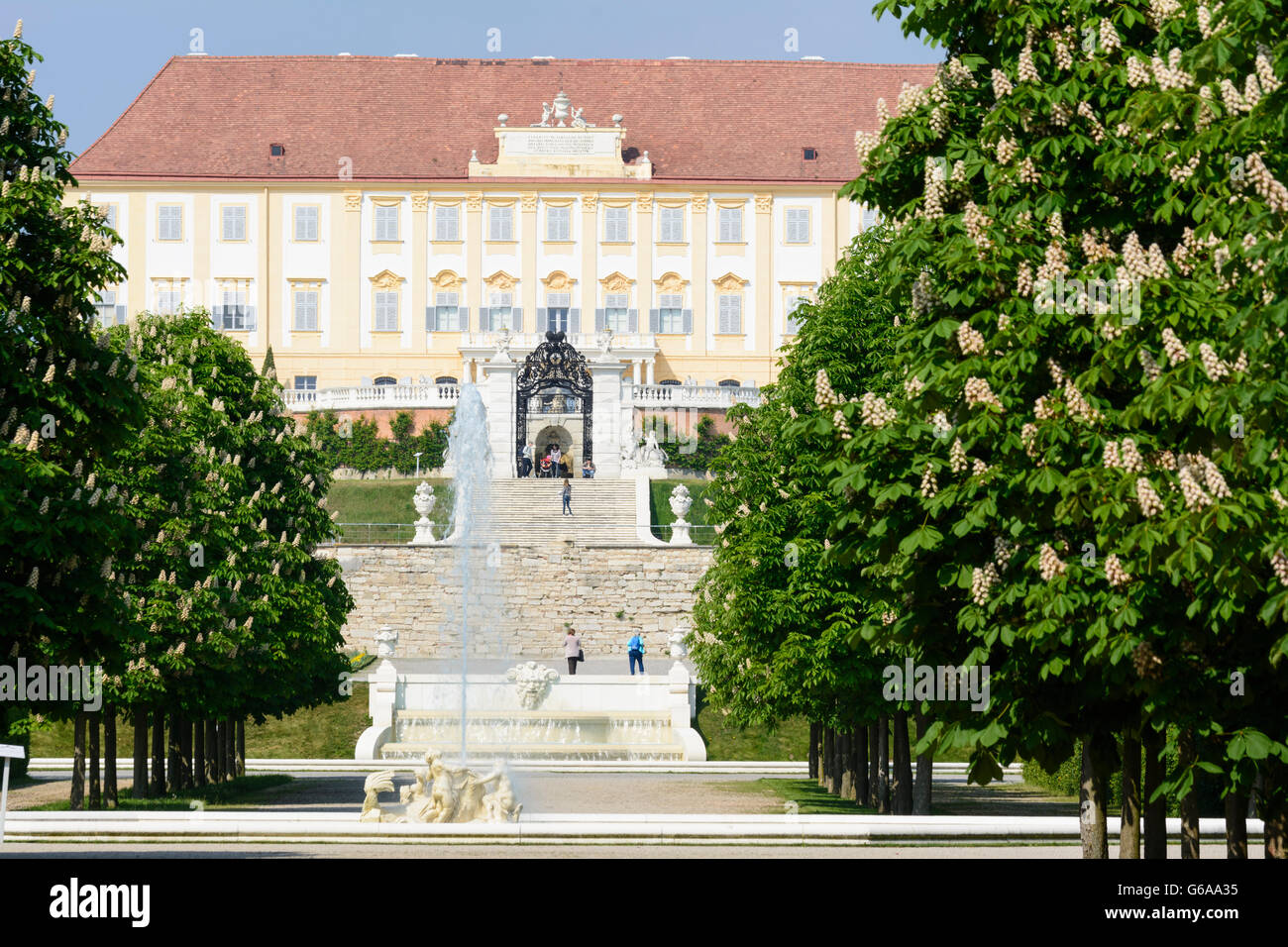 Schloss Hof, blühenden Kastanienbäumen, Engelhartstetten, Österreich, Niederösterreich, NÖ, Marchfeld Stockfoto