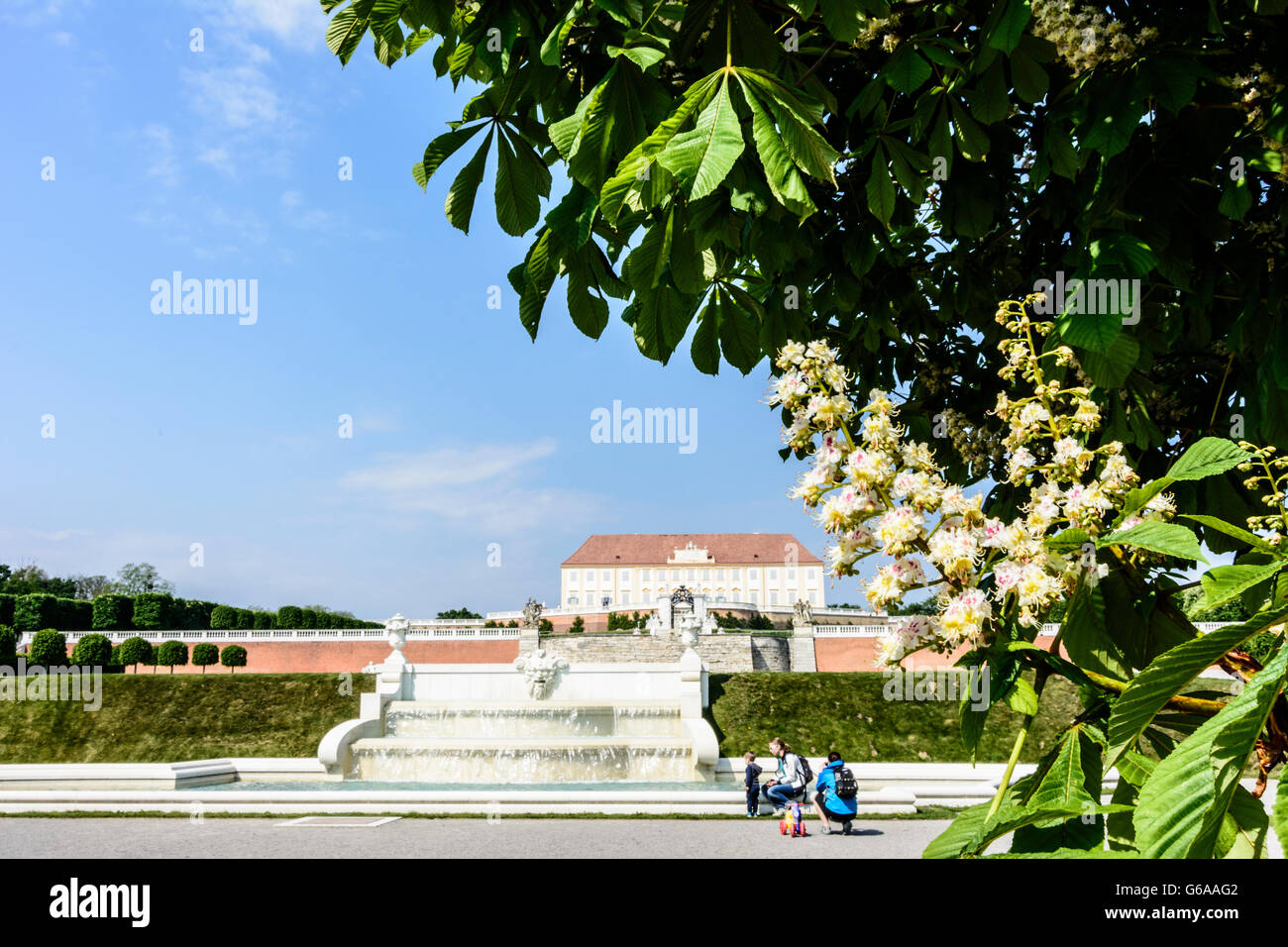 Schloss Hof, blühenden Kastanienbäumen, Engelhartstetten, Österreich, Niederösterreich, NÖ, Marchfeld Stockfoto