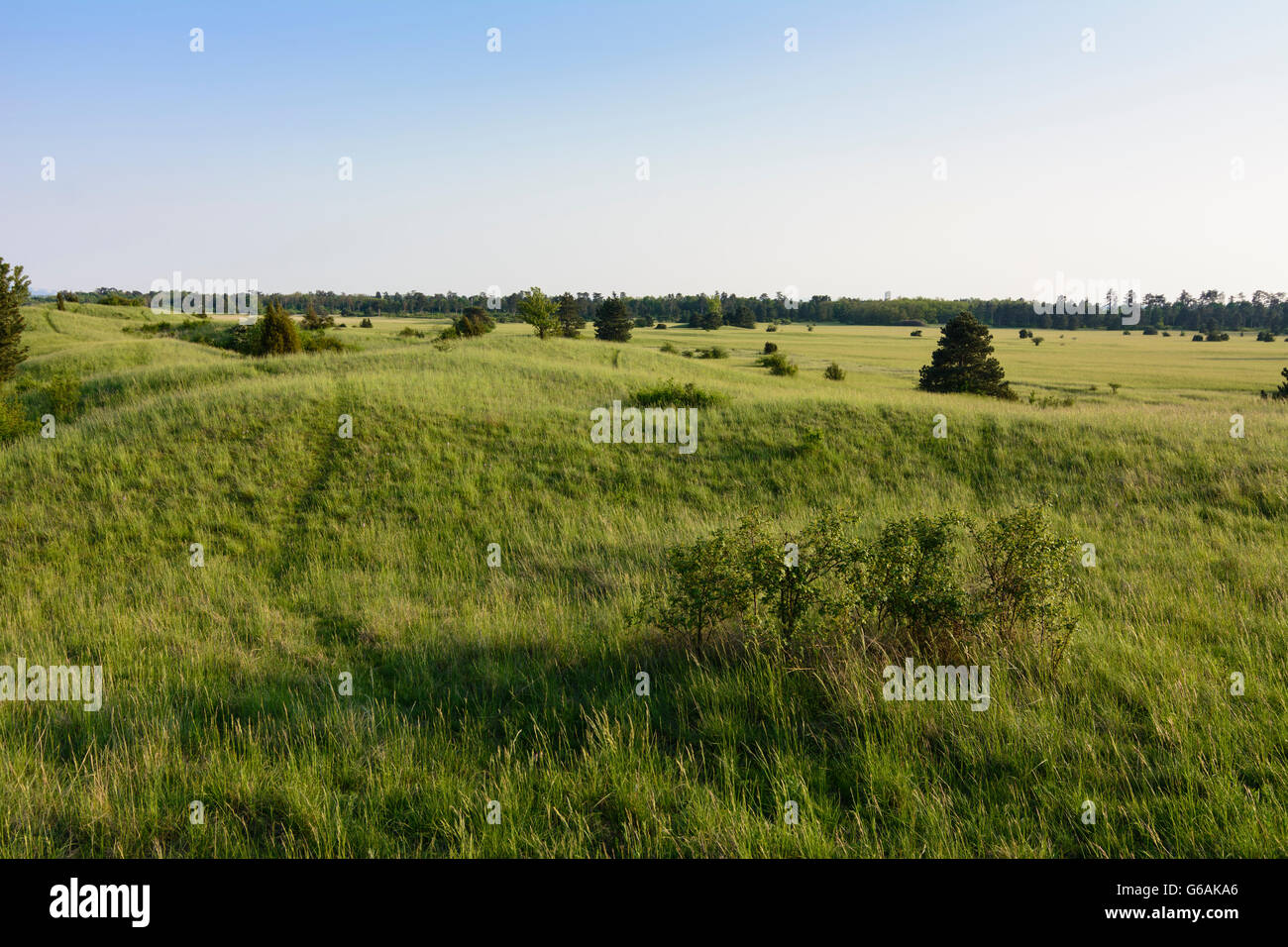 Weiden an der march Stockfotos und bilder Kaufen Alamy