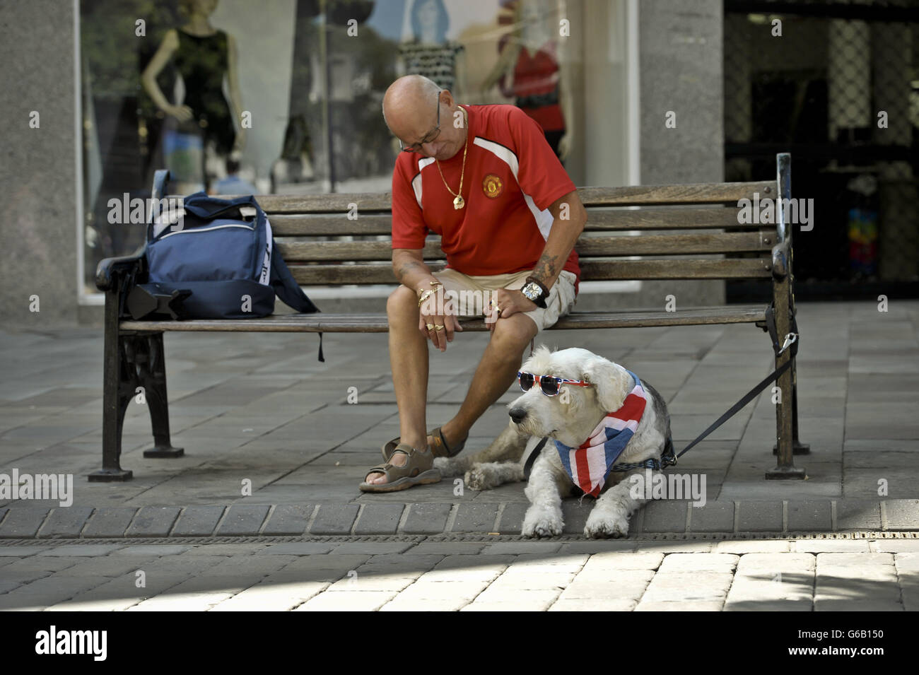 Toby Cool, der alte englische Schäferhund, 9 Jahre alt, in britisch-patriotischen Farben gekleidet, um die britische Herrschaft in Gibraltar durch seinen Besitzer Joe Galliano zu unterstützen, der seit 27 Jahren in Gibraltar lebt. Stockfoto
