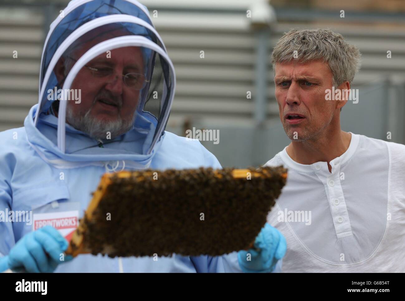 Mark Berry, alias Bez, ehemaliges Mitglied der Manchester-Band The Happy Mondays, rechts, sieht zu, wie der Imker Adrian Rhodes während einer Fotozelle in der Druckerei im Stadtzentrum von Manchester ein Tablett mit Honigbienen hält. Stockfoto