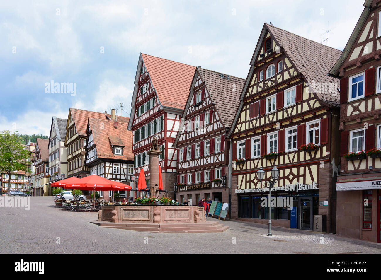 Er sucht sie calw