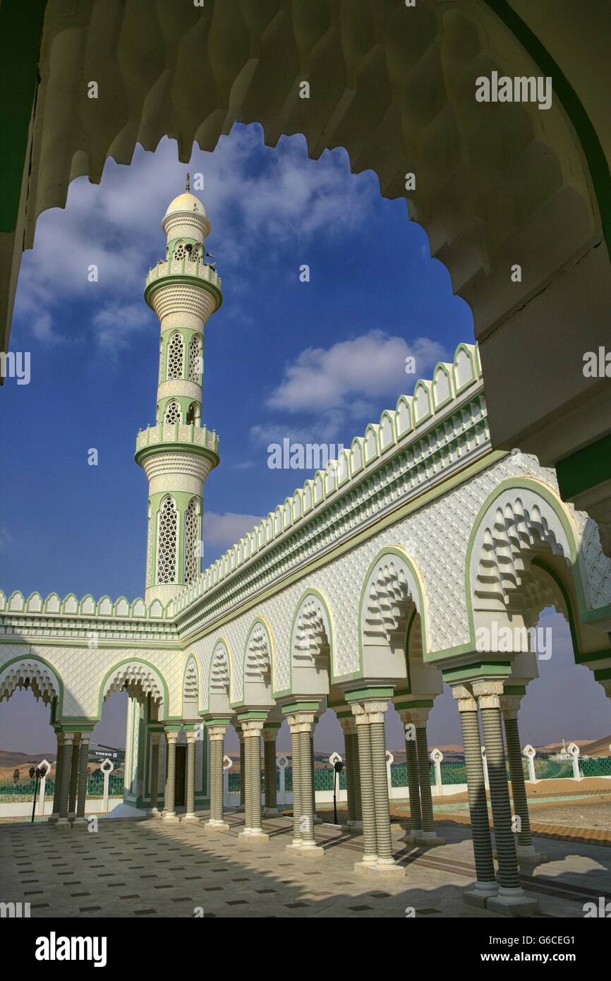 Moschee in Liwa-Oase, Abu Dhabi, Vereinigte Arabische Emirate. Vertikale erschossen Stockfoto