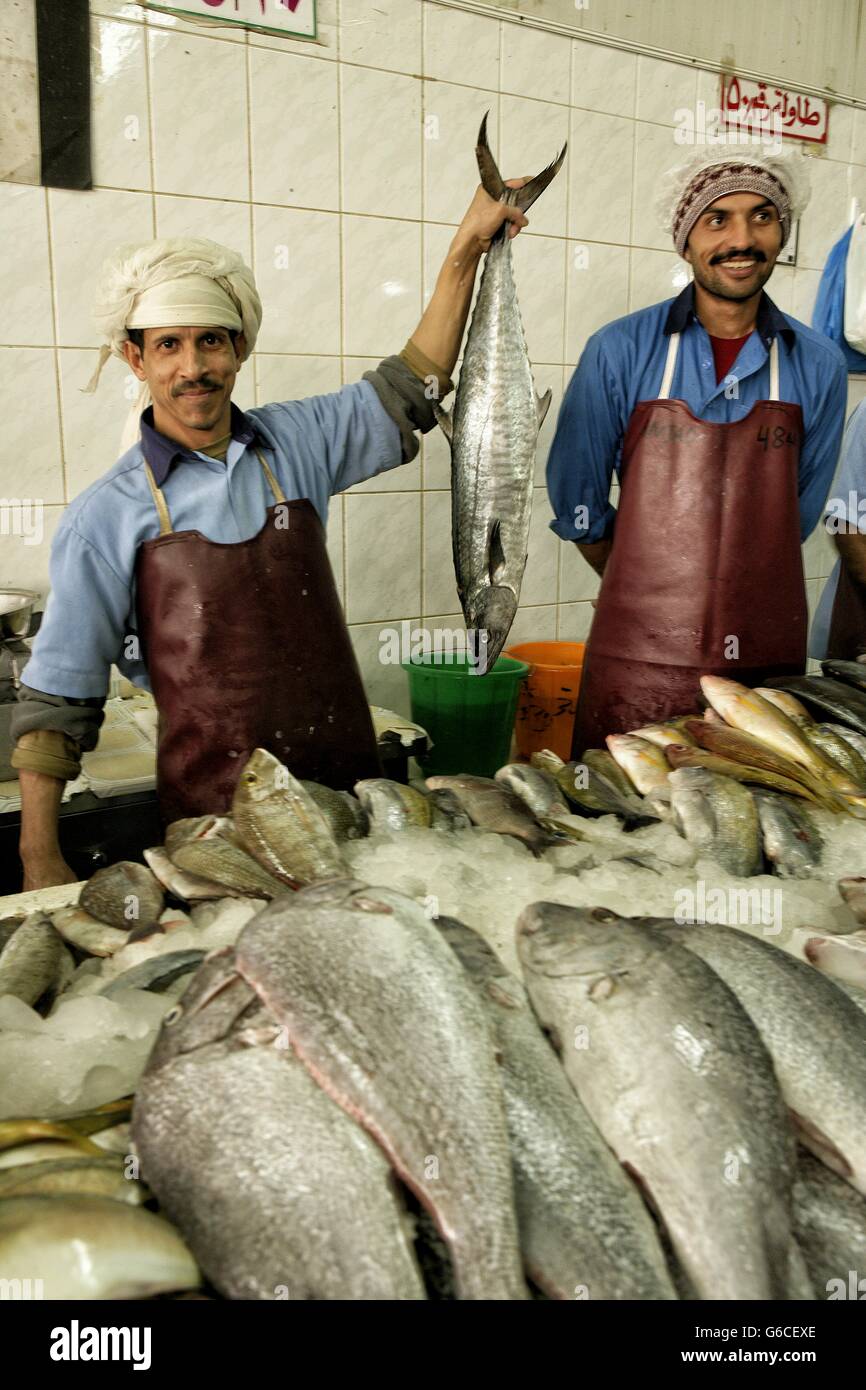 Zoco de Al-Ain  Al Ain - Vereinigte Arabische Emirate-Fisch-sharjah Stockfoto