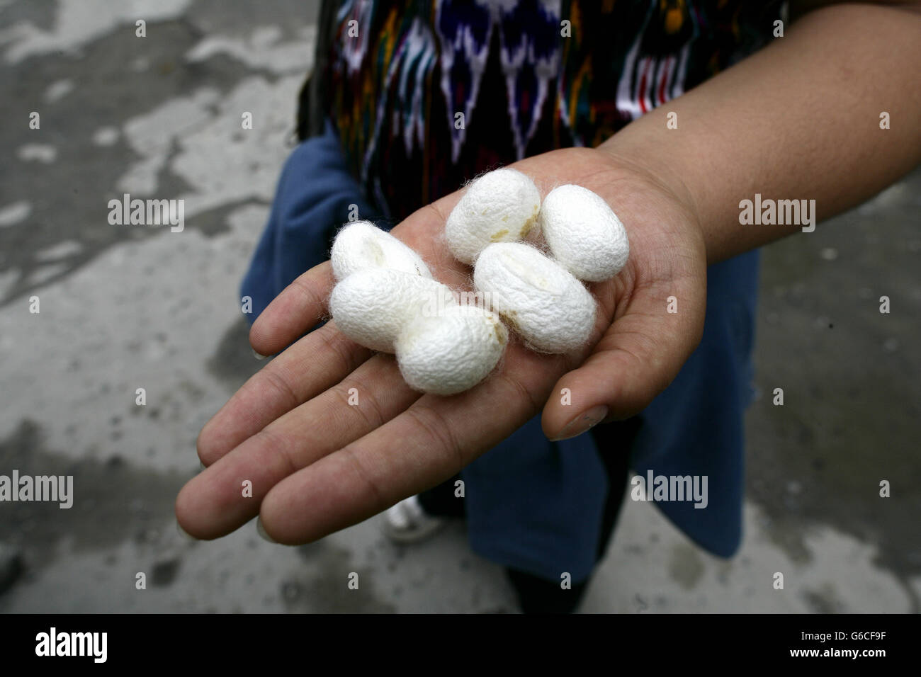 Yodgorlik Seide Factory Traditional Methoden der Seidenproduktion Stockfoto