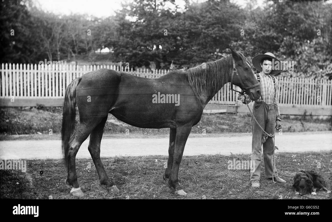 1900ER JAHRE JUNGE FARMER TRAGEN OVERALLS STROHHUT STAND NEBEN PFERD MIT HUND Stockfoto