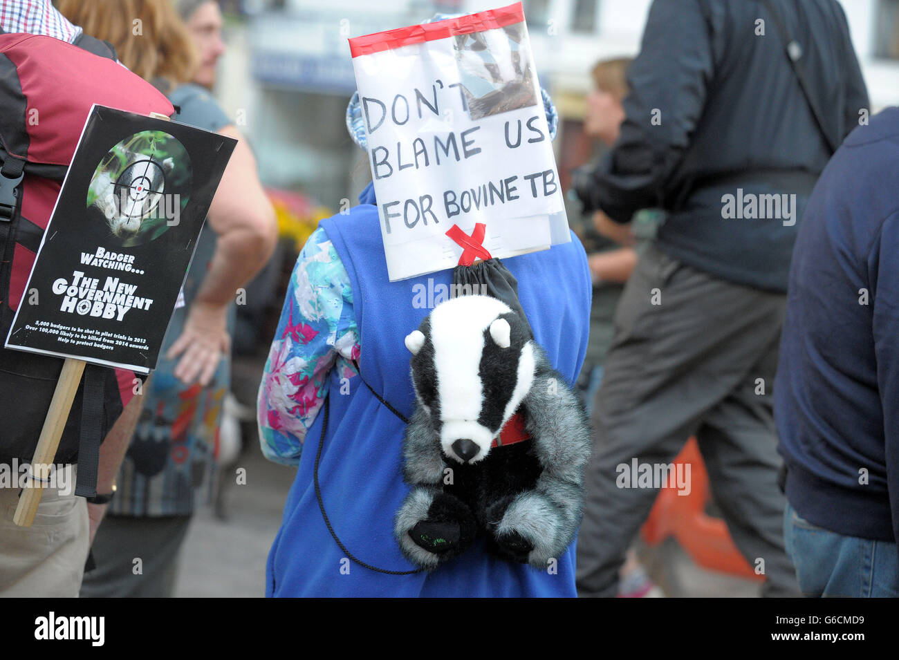 Ein Protestler in Minehead während einer von Somerset Badger Patrol organisierten Veranstaltung gegen die geplante Keulung. Stockfoto