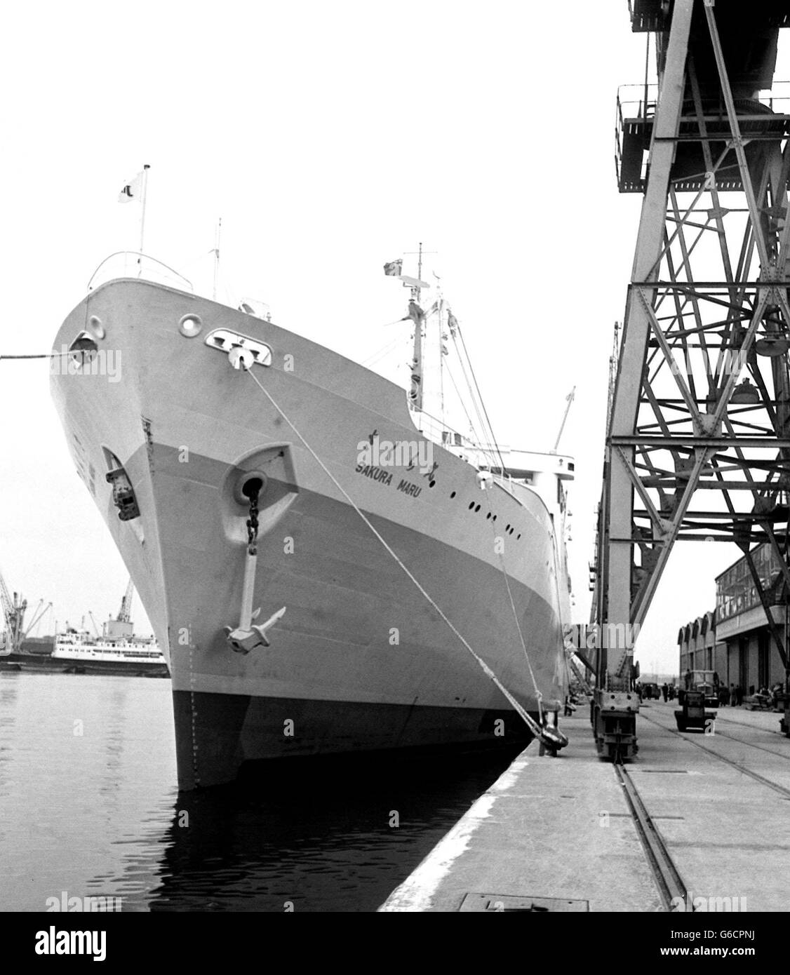 Die Sakura Maru, 12, 688 Tonnen, das erste Schiff der Welt, das speziell für eine schwimmende Messe entwickelt wurde, wurde im Bild an der No.1 Shed, Tilbury Dock, Essex, vertäut. Stockfoto