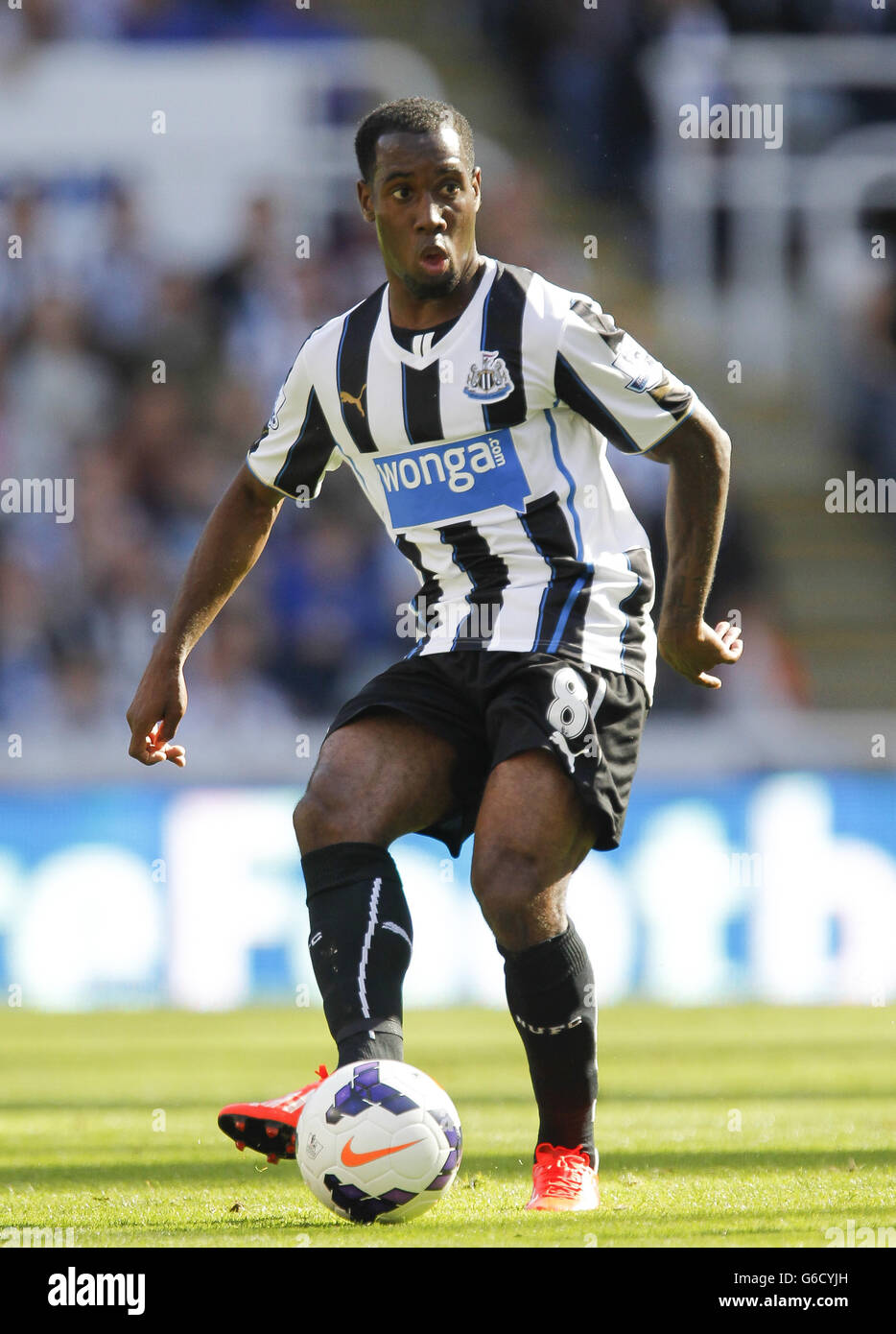 Fußball - Barclays Premier League - Newcastle United gegen Fulham - St James' Park. Vurnon Anita, Newcastle United Stockfoto