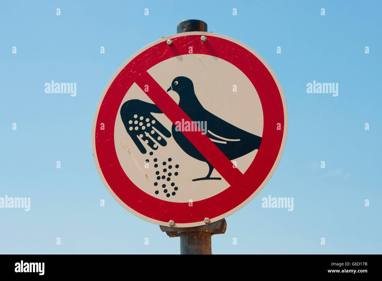 Verbotszeichen, füttern nicht Tauben, Deutschland Stockfoto