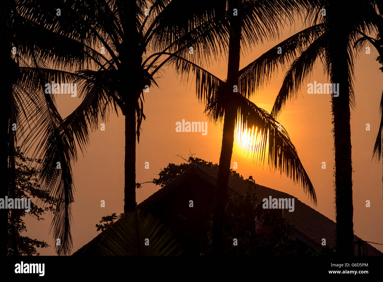 Architektur Detail der Strand Hausdach auf Sommer Sonnenuntergang mit Palmen Baum Blatt Silhouetten und friedliche Sonnenschein Goldgrund Stockfoto