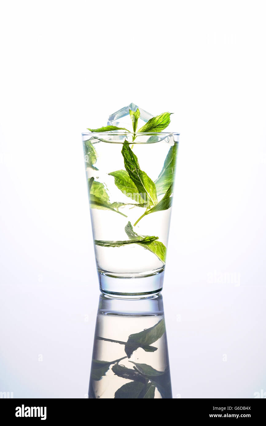 Eiswasser und Minze in ein hohes Glas auf weißem Hintergrund mit Reflexion Stockfoto