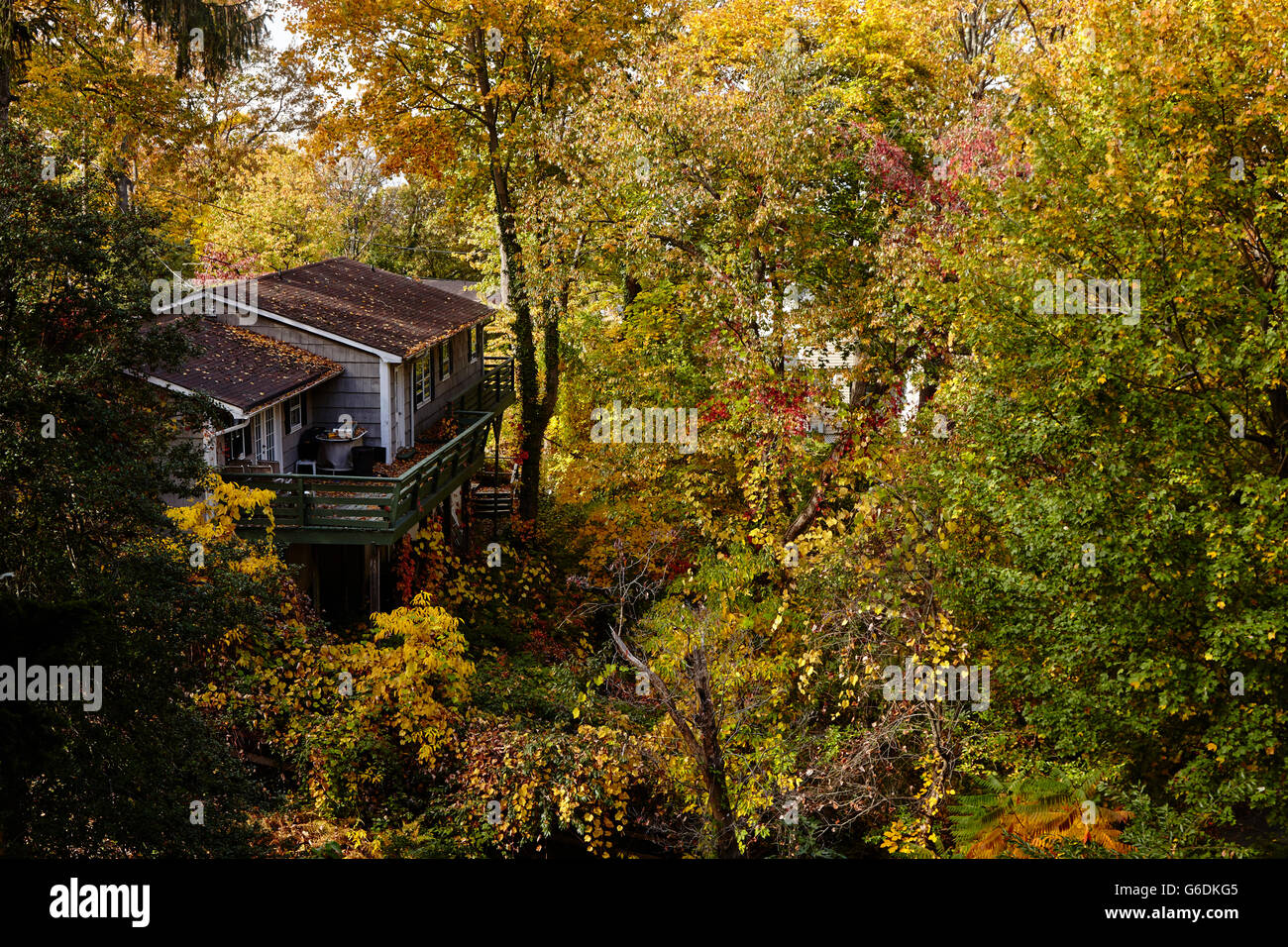 Ein Haus, Hütte auf den Hügeln, umgeben von den Farben des Herbstes. Stockfoto