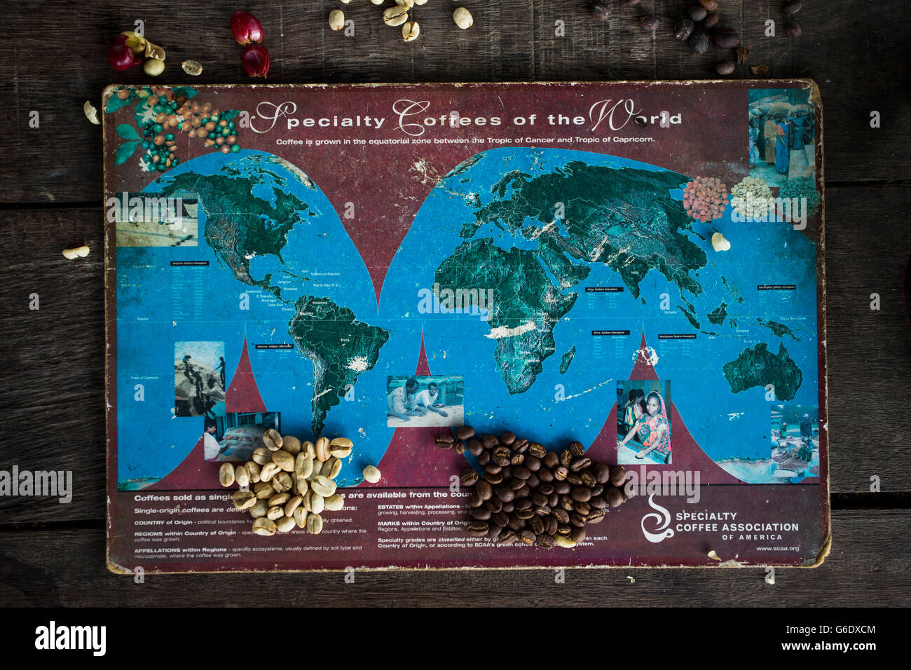 Verschiedenen Phasen des Prozesses Kaffeebohne präsentieren wir auf einer Karte von der Welt zu einer Kaffee-Farm in Kolumbien. Stockfoto