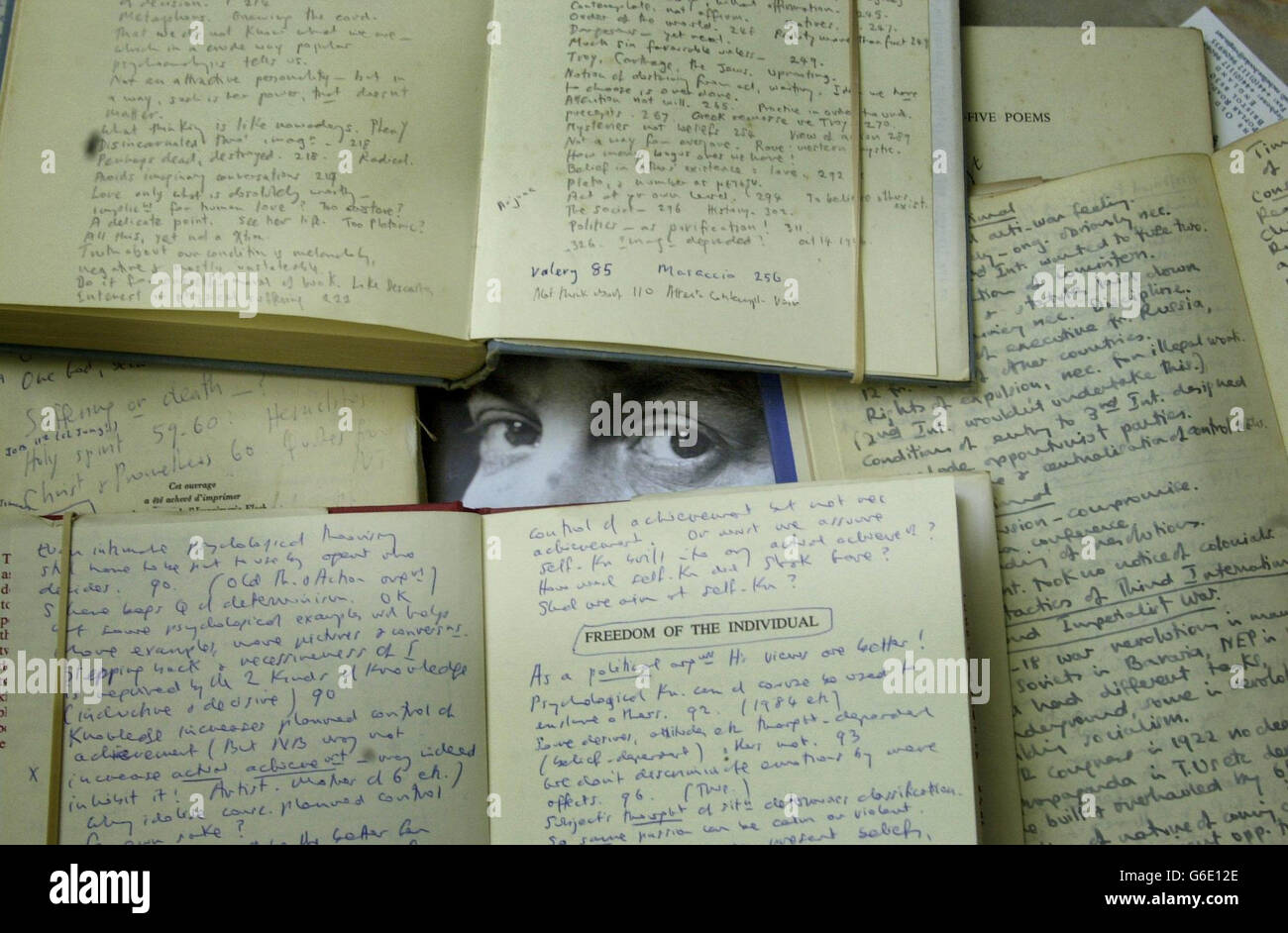 Antiquarian Book Fair - Iris Murdoch Arbeit Stockfoto