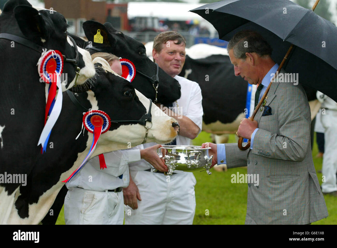 Der Prinz von Wales überreicht die Preise für die Rindermeisterschaften auf der South of England Show in Ardingly in der Nähe von Haywards Heath, West Sussex. Stockfoto