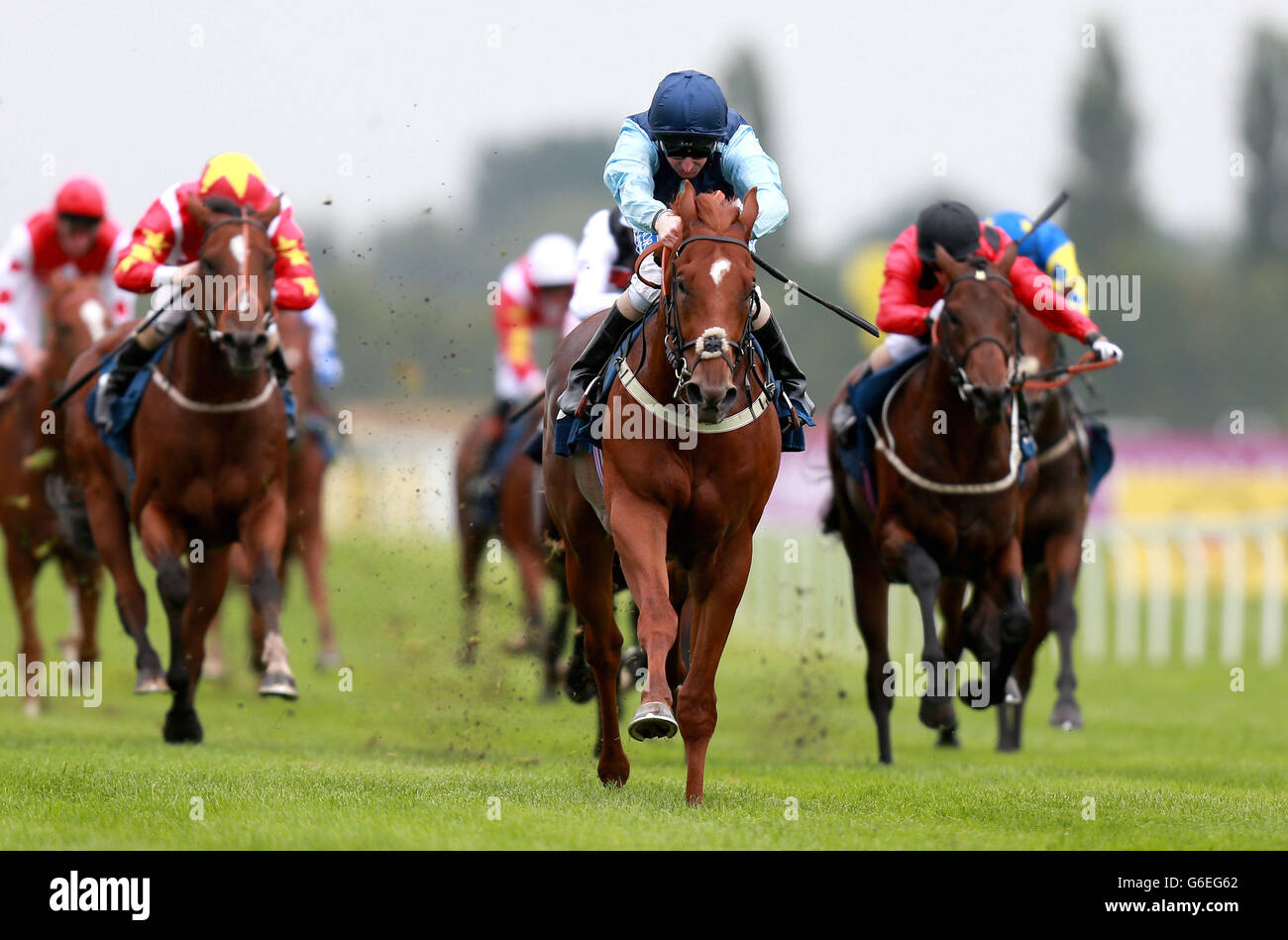 Extremitäten von Martin Dwyer gewinnt die Wedgewood Estates EBF Maiden Stakes während des Racing for Racegoers: Dubai Duty Free Weekend auf Newbury Racecourse, Berkshire. Stockfoto