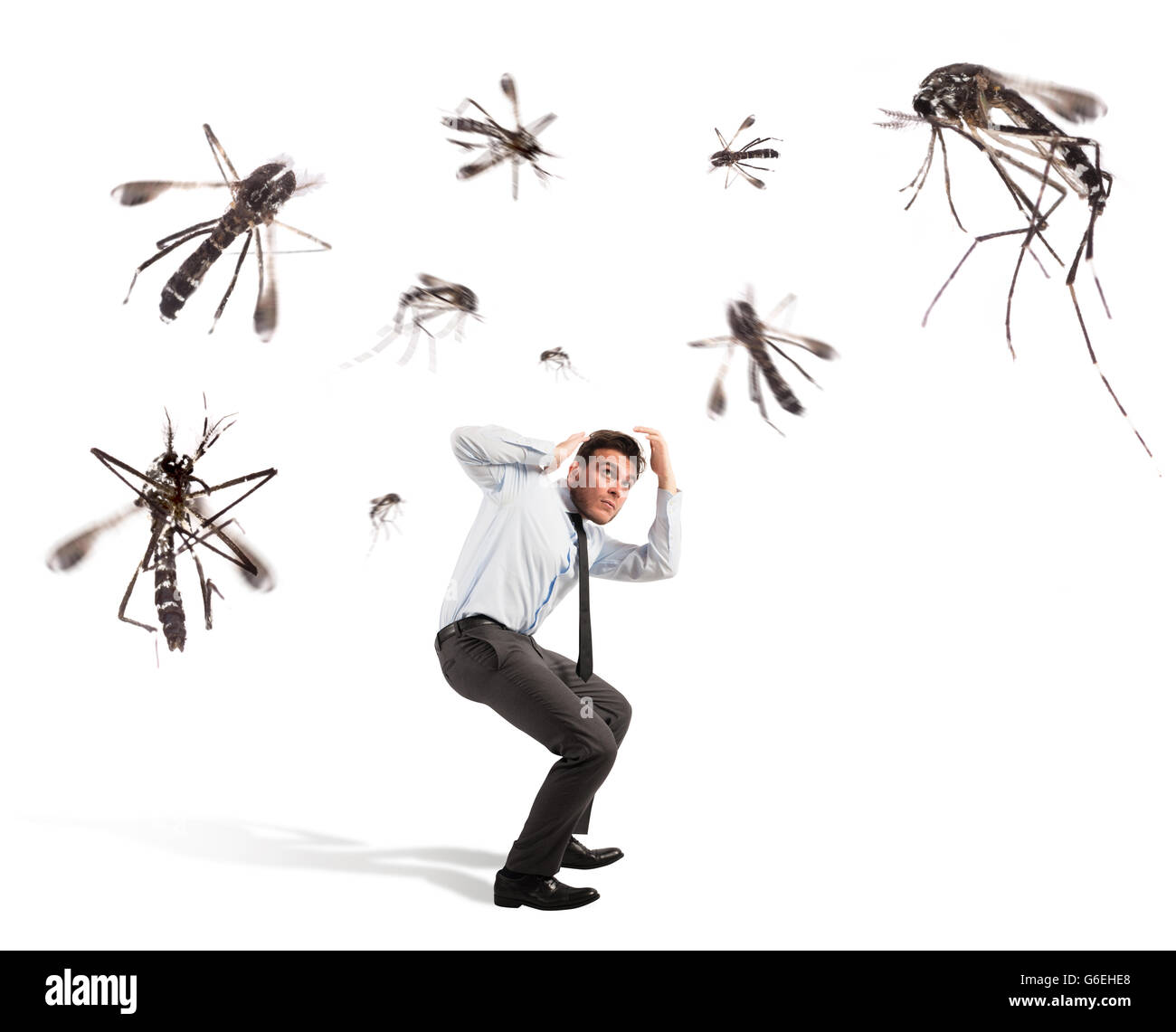 Angriff der Mücken Stockfoto