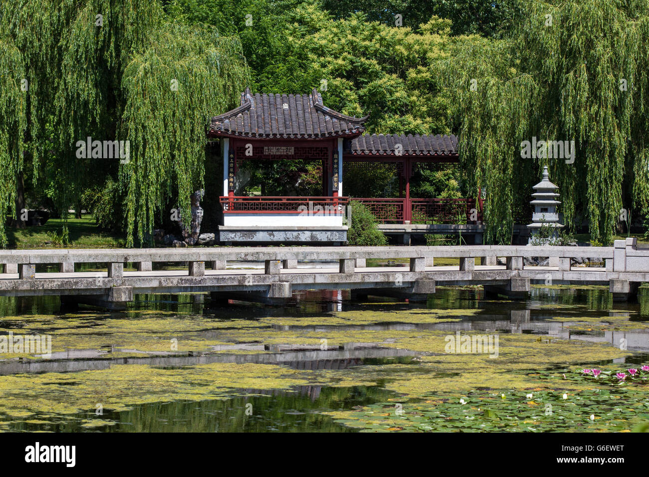 chinesischer Garten, Haus am See mit Seerosen Stockfoto
