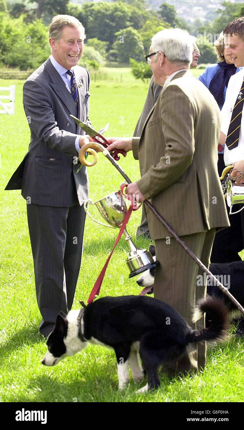 Der Prinz von Wales überreicht Jack Burke, 80 Jahre alt, eine Trophäe für den ältesten Konkurrenten bei den Walisischen nationalen Schäferhundversuchen im Glanusk Park, etwas außerhalb von Crickhowell in Powys, Südwales, während Mr Burkes Hund Fly das Royal-Protokoll ignoriert und sich darauf vorbereitet, sich zu Füßen seines Meisters freizulassen. Der Prinz hat die letzten vier Tage damit verbracht, das Land zu bereisen, Tausende von Einheimischen zu treffen und viele öffentliche Engagements zu Unternehmen, um walisische Tourisim hervorzuheben. Stockfoto