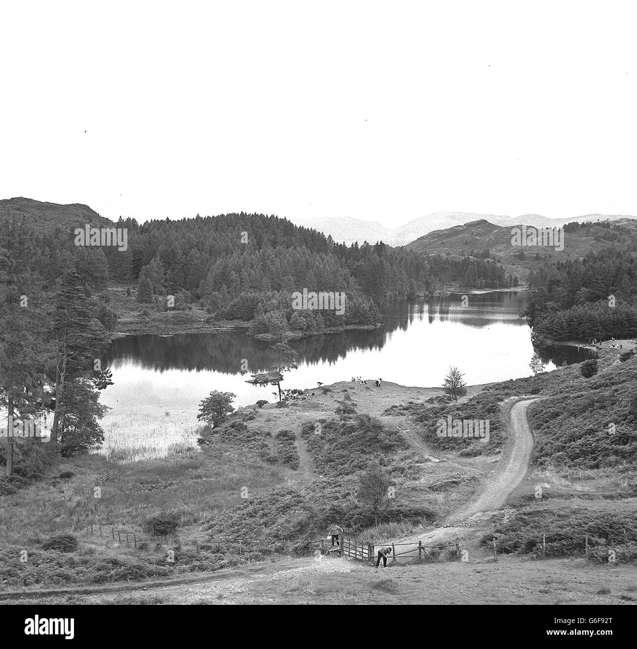 Umwelt - Tarn Hows - Seenplatte Stockfoto