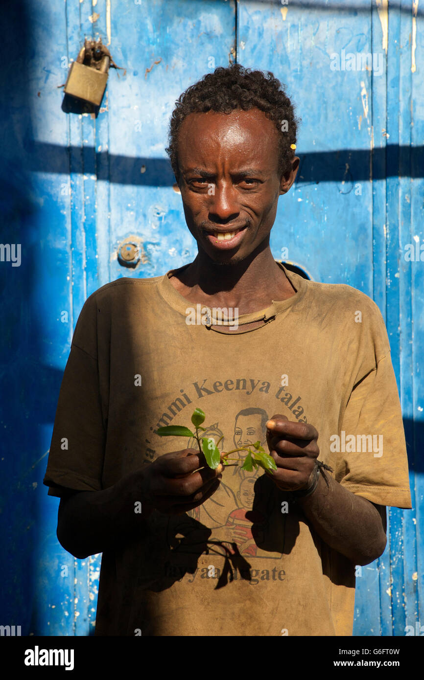 Porträt des äthiopischen Menschen kauen Khat. Catha Edulis. Harar. Äthiopien Stockfoto