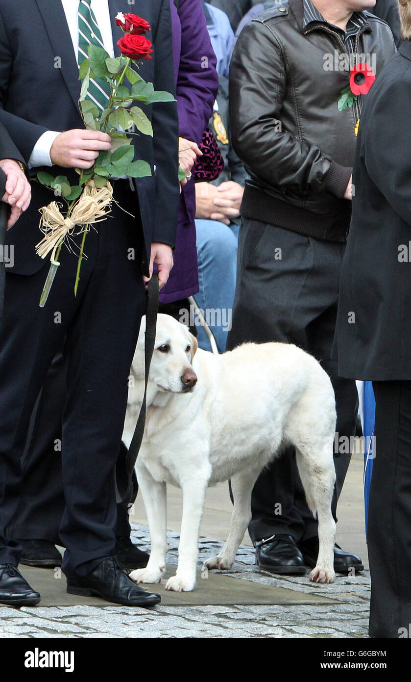 Luke, der Hund des gefallenen Soldaten, sieht zu, während Trauernde ihre Achtung erweisen, während der Leichenwagen, der den Sarg von Lance Corporal James Brynin trägt, nach seiner Rückführung den Memorial Garden bei Brize Norton passiert. Stockfoto