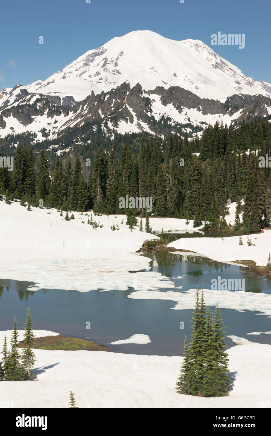 Tipsoo See Naches Peak Schleife Mt Rainier Cascade Mountain Range Stockfoto