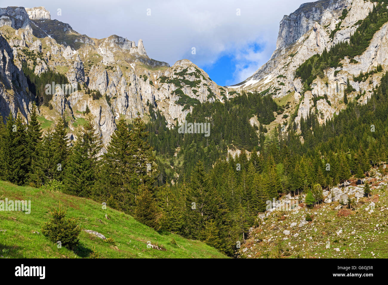 Wunderschöne Berglandschaft in den Karpaten im Sommer Stockfoto