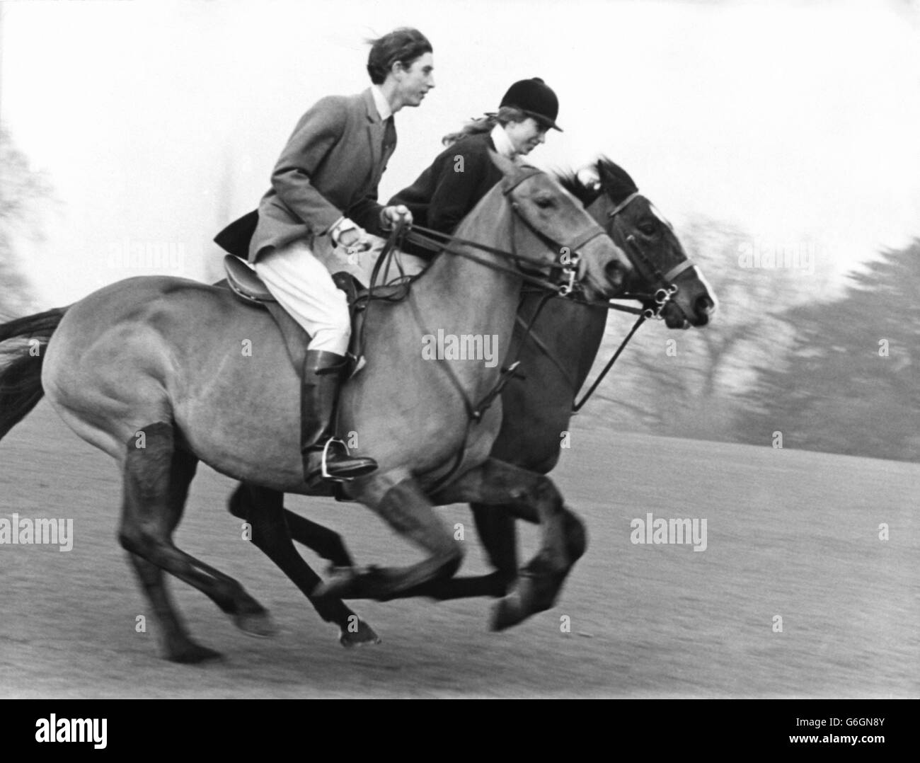 Royalty - Charles und Anne - Windsor Great Park Stockfoto
